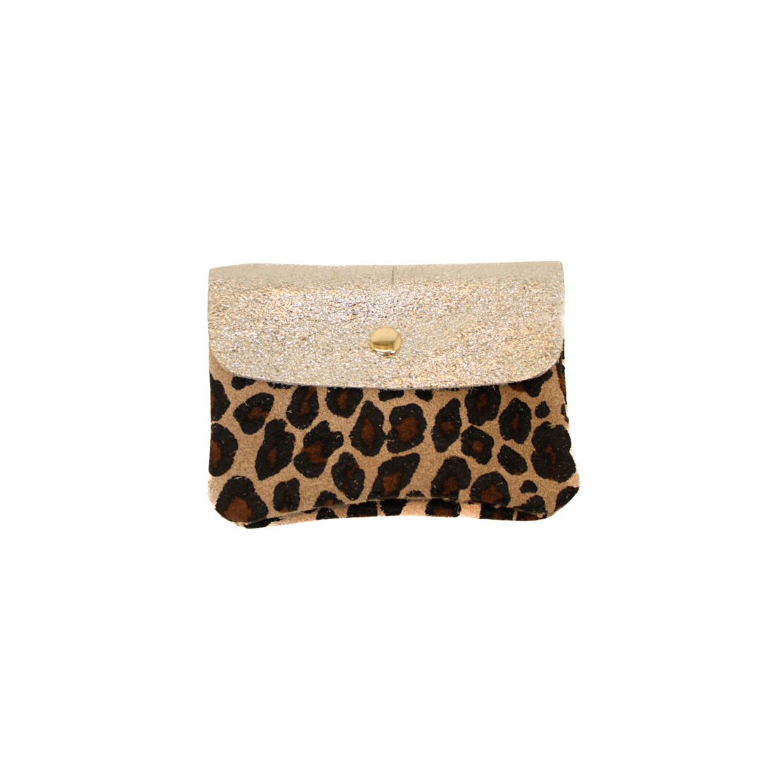 Silver Coin Purse