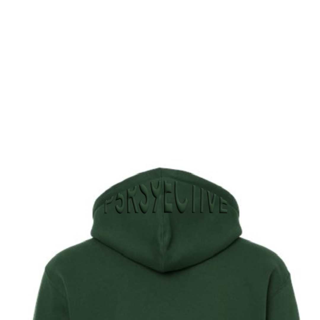 SNR 39 "P3RS9ECTIVE" Hoodie