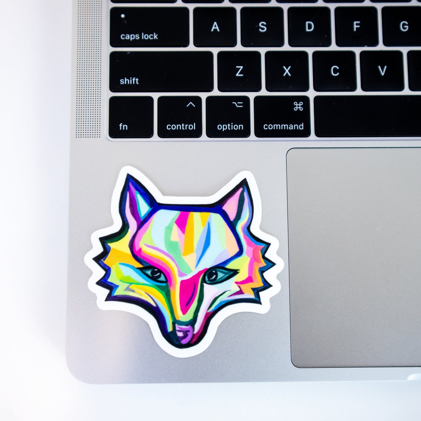 Rainbow Red Fox