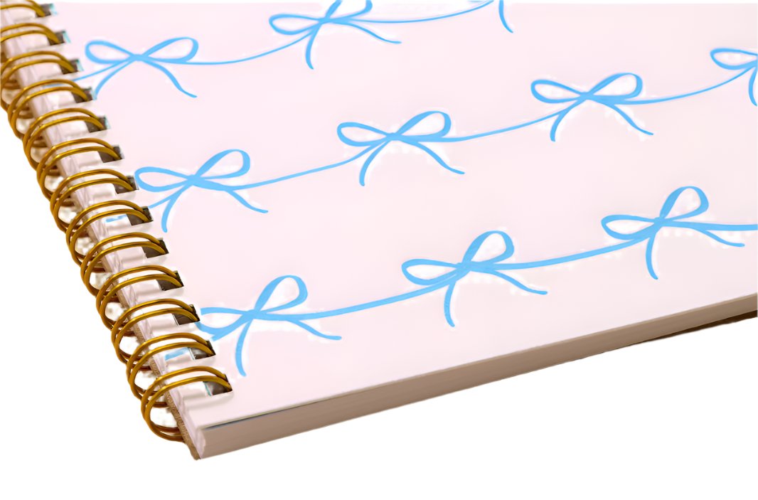 blue bows spiral notebook