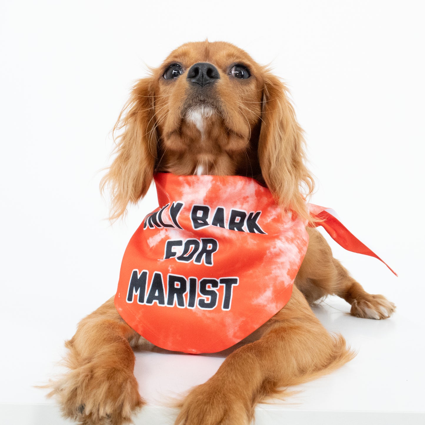 I Only Bark for Marist Dog Bandana