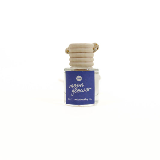 Noteworthy Co. Car Diffusers
