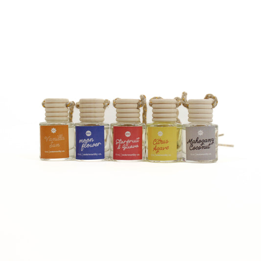 Noteworthy Co. Car Diffusers