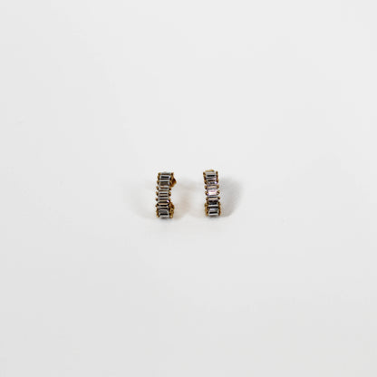 Clear Stone Stainless Earrings