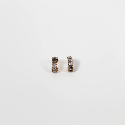 Clear Stone Stainless Earrings