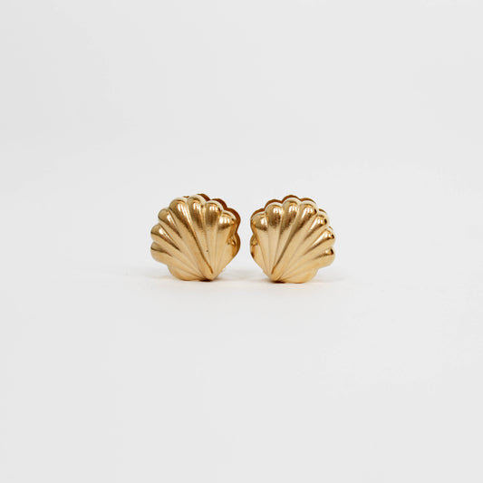Gold shell-shaped earrings on a white background