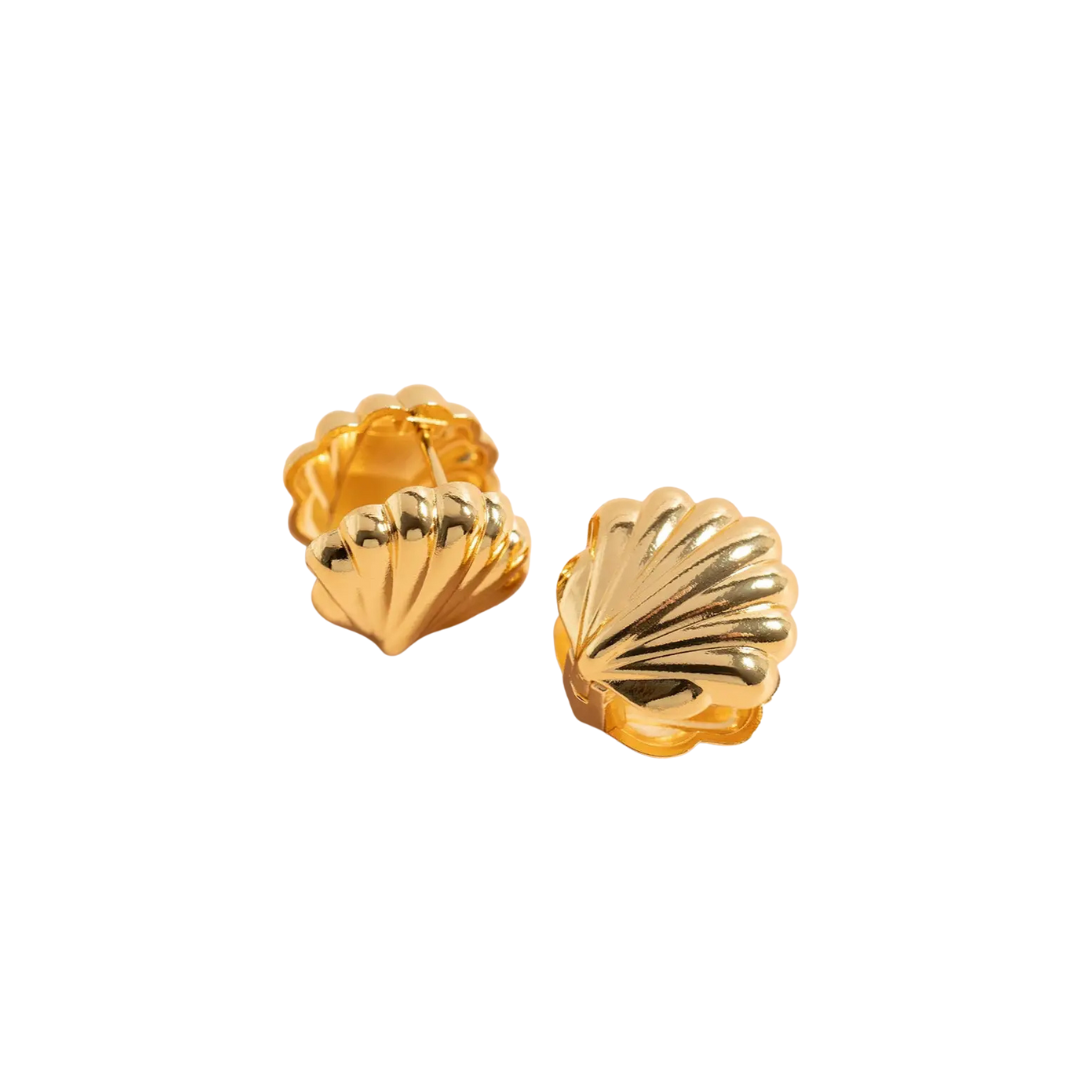 Gold shell-shaped earrings on a white background