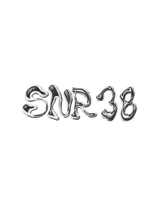 SNR38 "INTERLINKED" Sticker