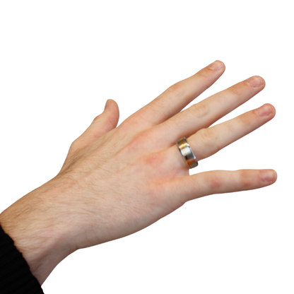 silver ring with gold line on hand model