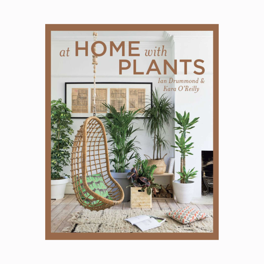 at home with plants