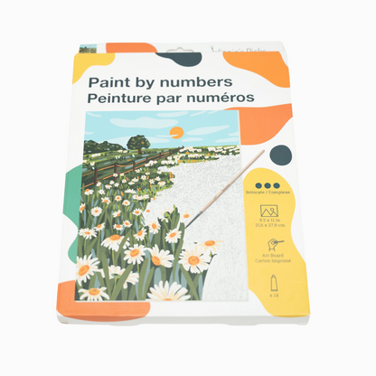 Paint By Numbers Kit- Blooming Daisies